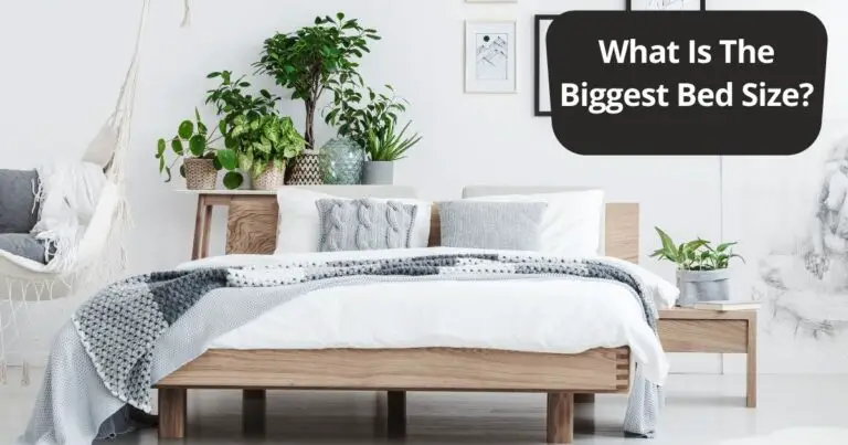 What Is The Biggest Bed Size In The World And In America?
