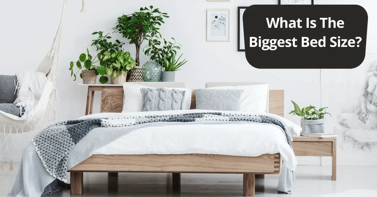 What Is The Biggest Bed Size