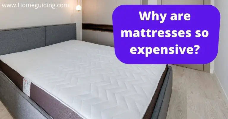 Why Are Mattresses So Expensive? (10 Must Know Reasons!)