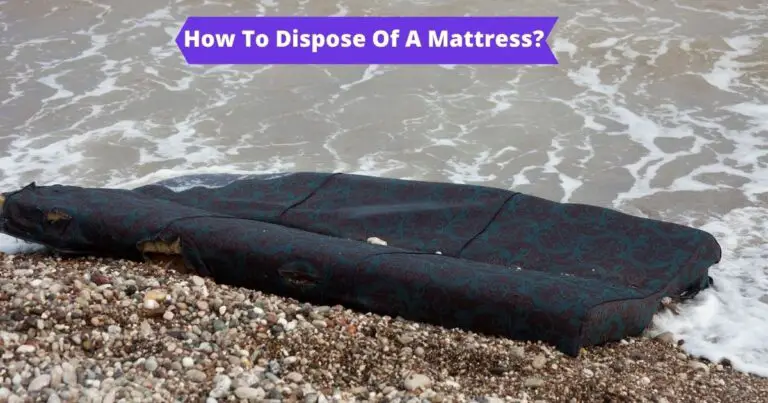 How to Dispose of a Mattress With Bed Bugs? (REVEALED!)