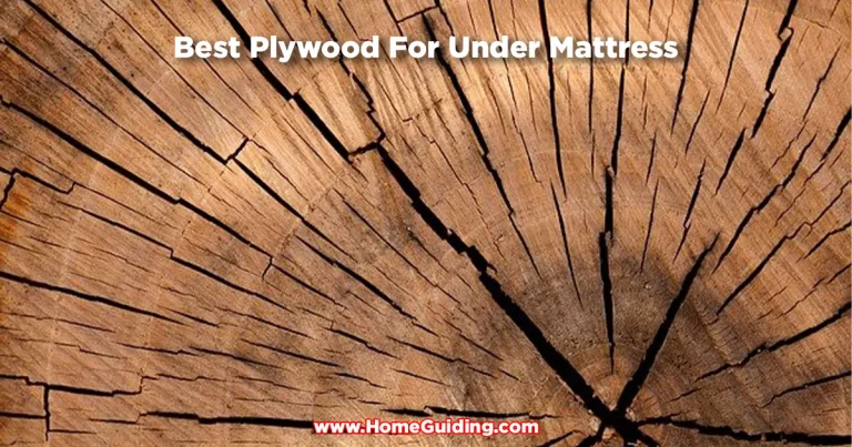 Top 11 Best Plywood For Under Mattress (Ranked & Reviewed!)
