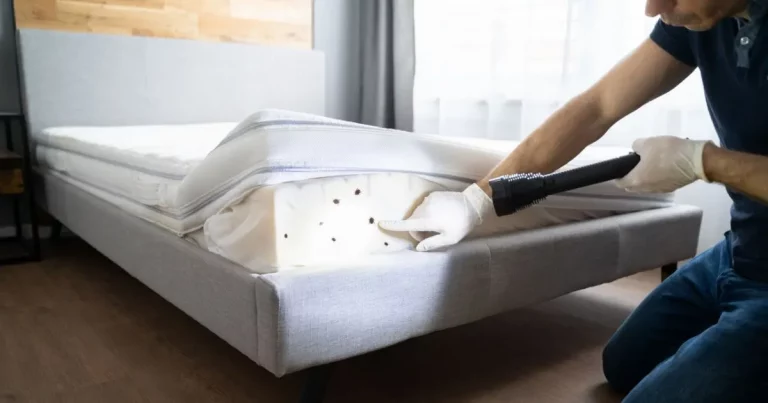 How to Get Rid of Bed Bugs in a Mattress? (Impressive Way!)