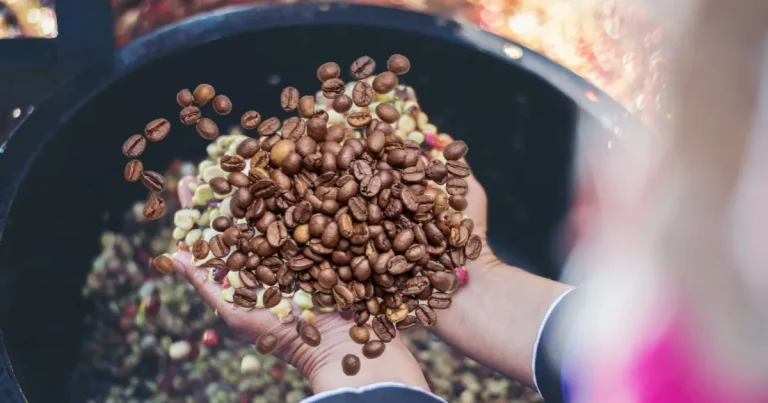 Can You Wash Mold Off Coffee Beans? (Explained & Solved)