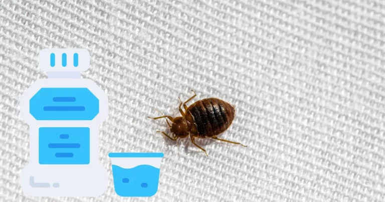 Does Ammonia Kill Bed Bugs? [ANSWERED]