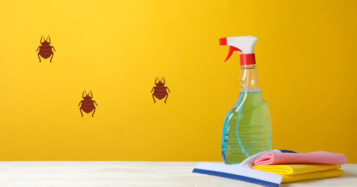 Does Bleach Kill Bed Bugs?