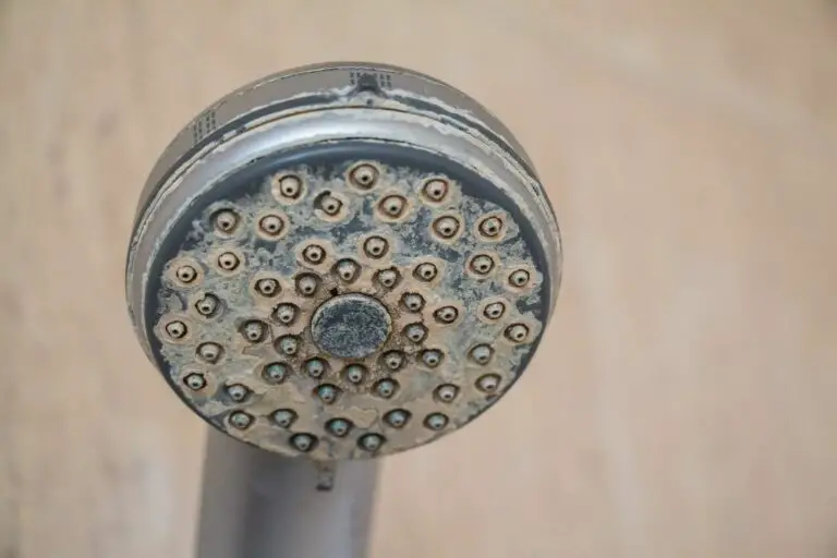 No Water In Shower But Sinks Are Fine (7 Awful Reasons!)